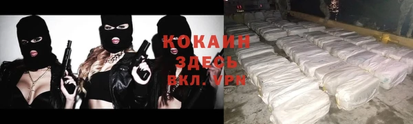 молекула духа Белокуриха