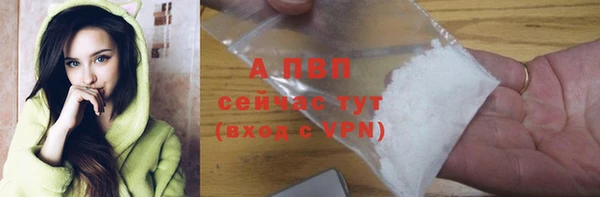 молекула духа Белокуриха
