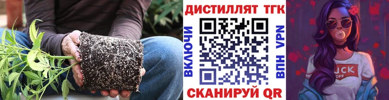 сайты даркнета официальный сайт Казань ТГК жижа