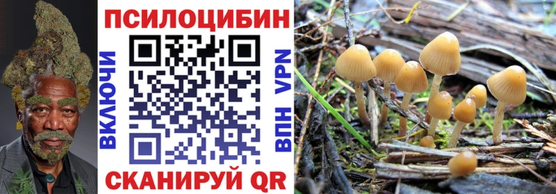 Галлюциногенные грибы Psilocybine cubensis купить наркоту Казань